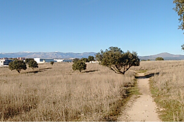 Parque del este Tres Cantos