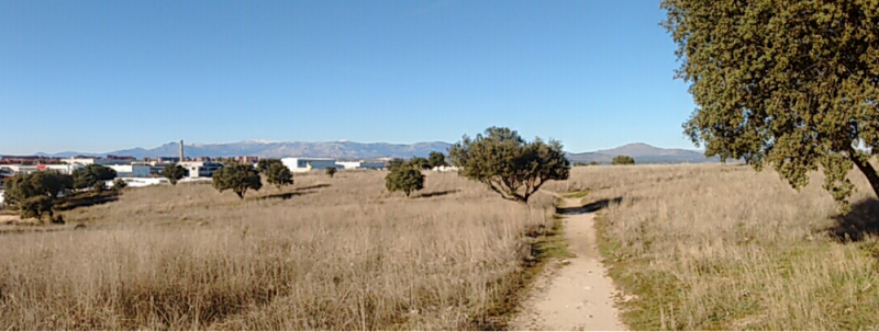 Parque del este Tres Cantos