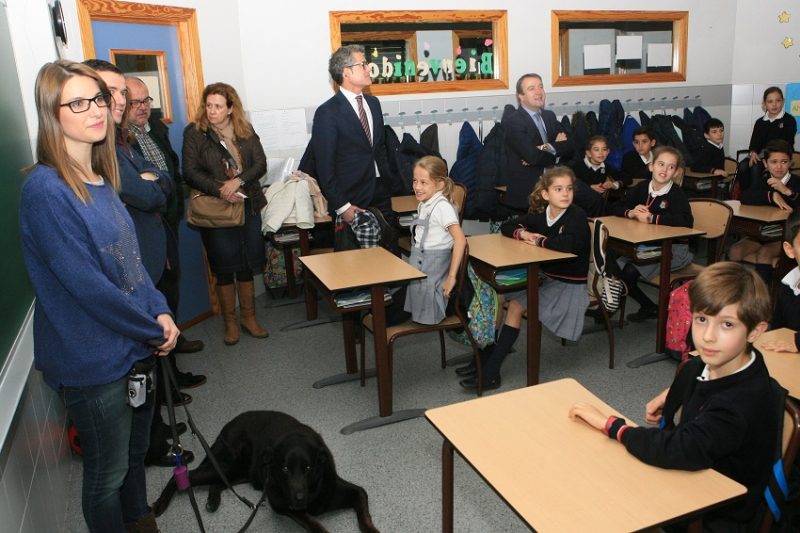 campana-sensibilizacion-discapacidad-discapacidad