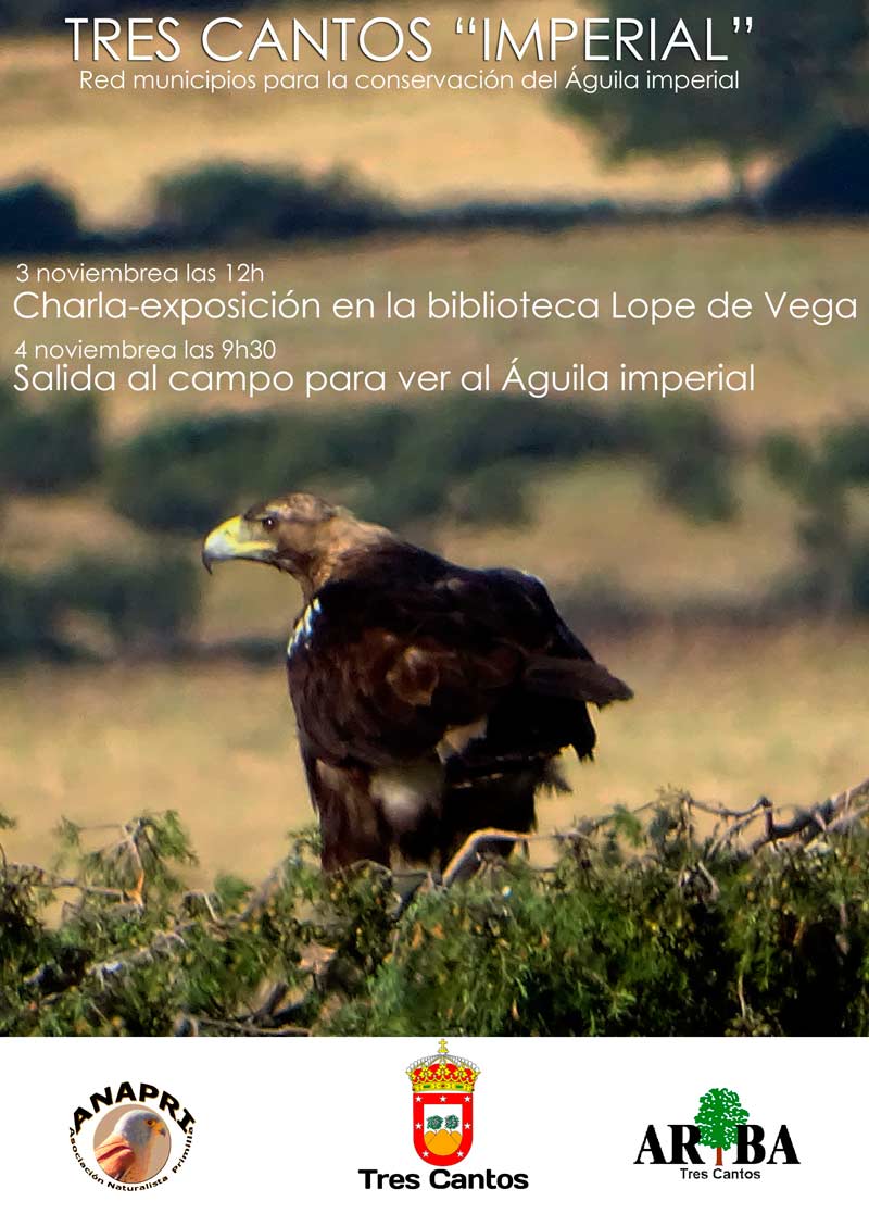 Jornadas águila Imperial Ibérica en Tres Cantos