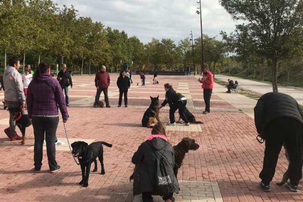 Familia Canina de Tres Cantos