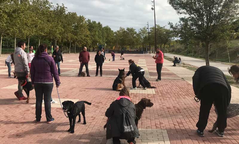 Familia Canina de Tres Cantos