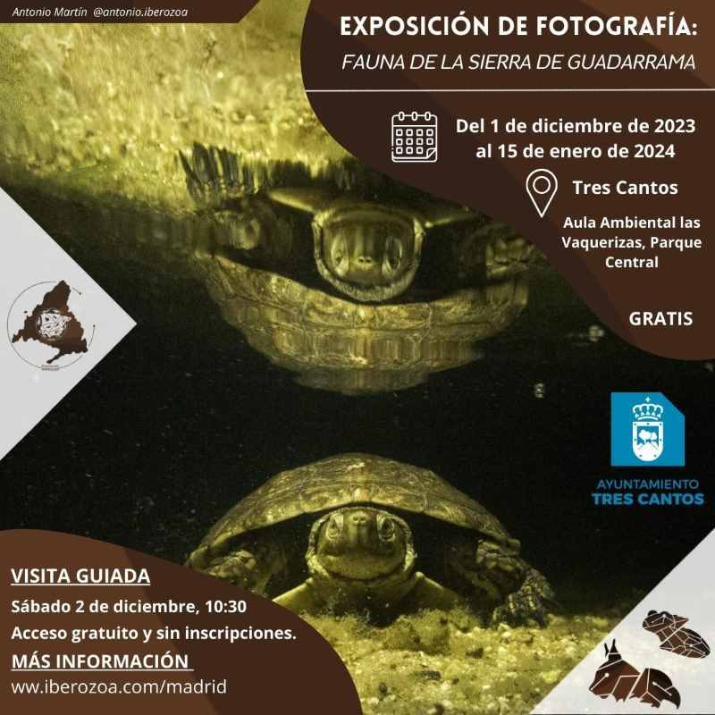 Exposición 'Fauna Sierra de Guadarrama' en Vaquerizas Tres Cantos