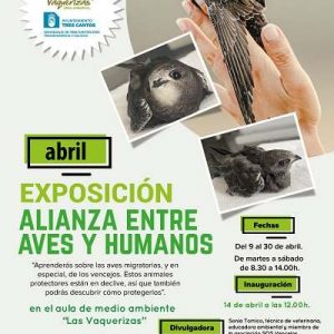 Exposición: Alianza entre aves y humanos