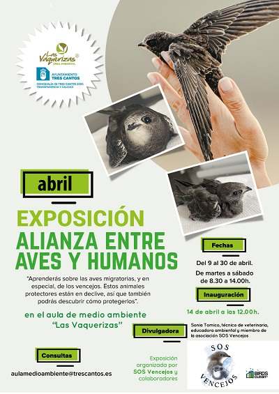 Exposición: Alianza entre aves y humanos